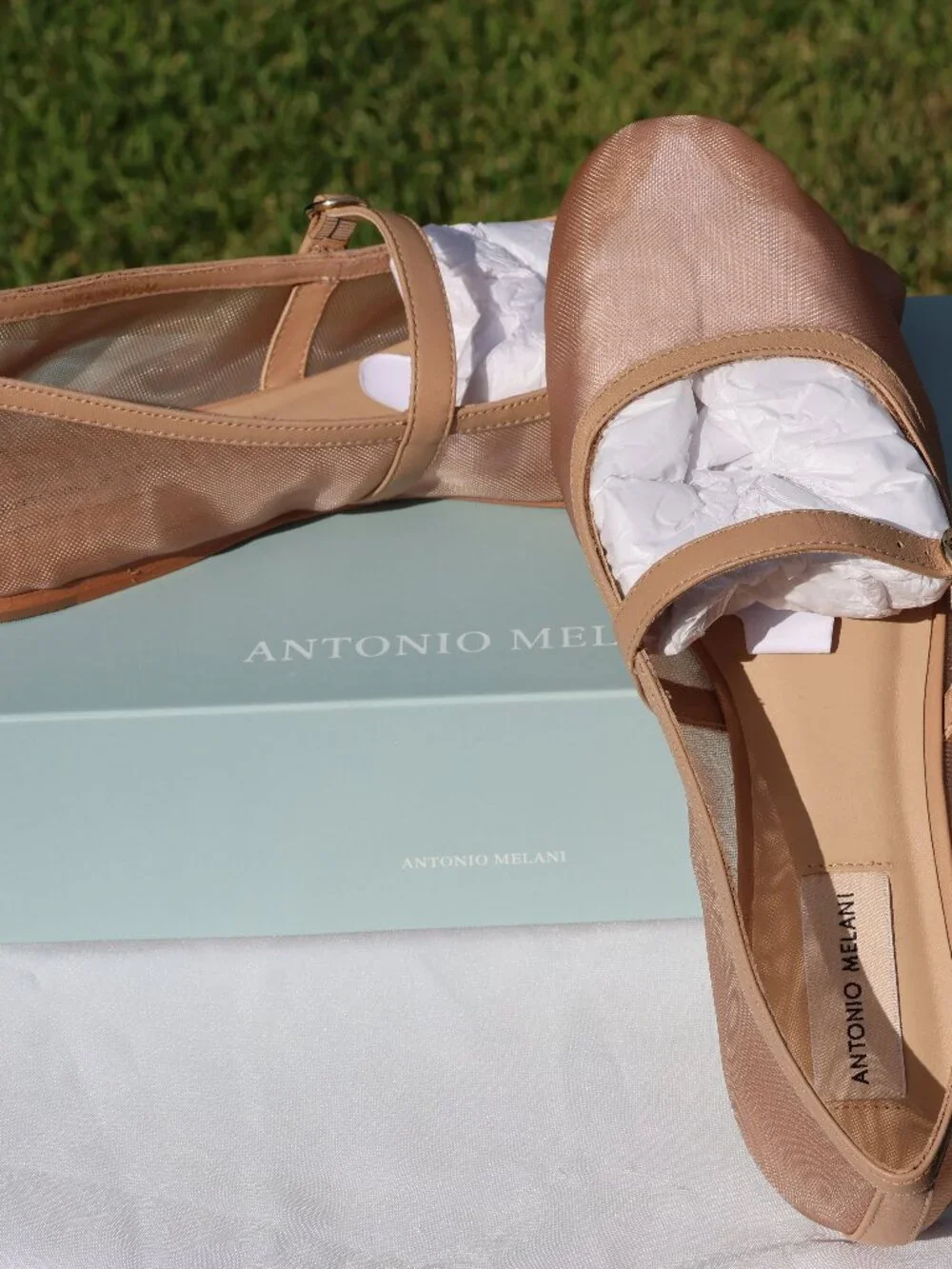 ANTONIO MELANI never been
